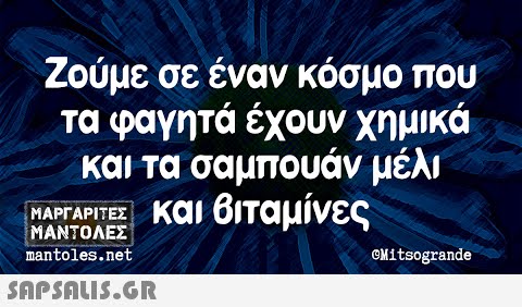 Ζούμε σε έναν κόσμο που τα φαγητά έχουν χημικά και τα σαμπουάν μέλι και Βιταμίνες ΜΑΡΓΑΡΙΤΕΣ ΜΑΝΤΟΛΕΣ mantoles.net CMitsogrande