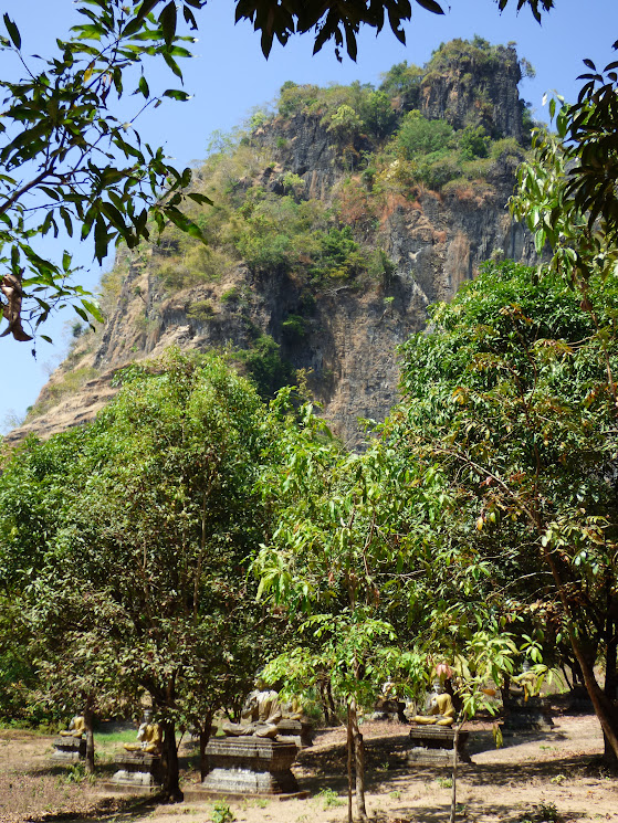 mango garden