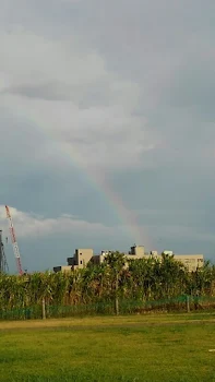 雨上がりの虹を君も見ているか