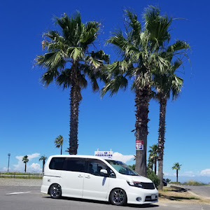 セレナ C25