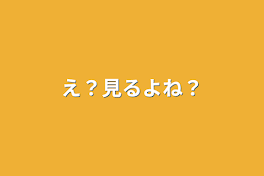 え？見るよね？