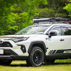 RAV4 AXAH54