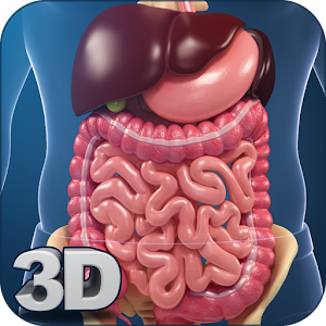 Download Digestive System Anatomy For PC Windows and Mac