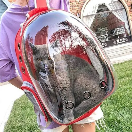 Portable Dog Cat Carrier Bag Breathable Space Capsule Astronaut Travel Bag Transparent Outdoor Small Cat Carrier Pet Bac