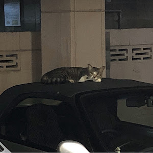 ビート