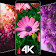 Fonds d'écran Fleurs | 4k belles fleurs icon