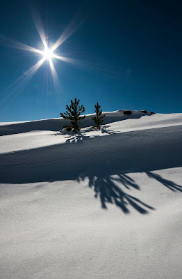 Ombre sul Bianco di Andrea Di Florio