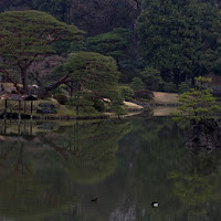 Il giardino incantato di 