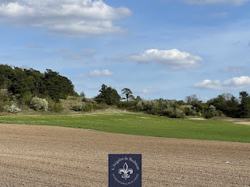 propriété à Fontainebleau (77)