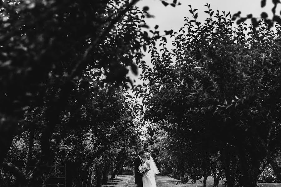 Fotógrafo de casamento Adam Johnson (arjphotography). Foto de 15 de setembro 2016