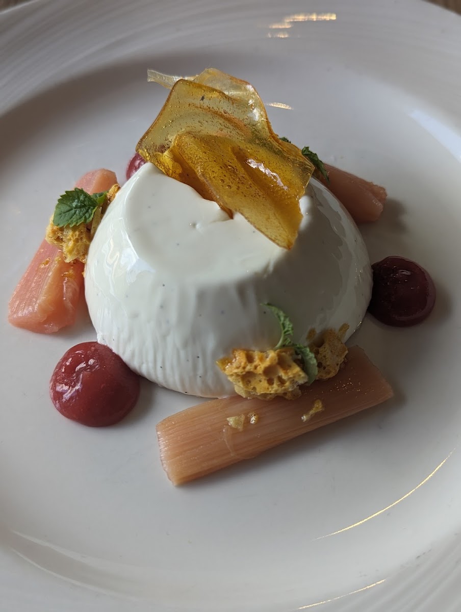 Rhubarb pannacota