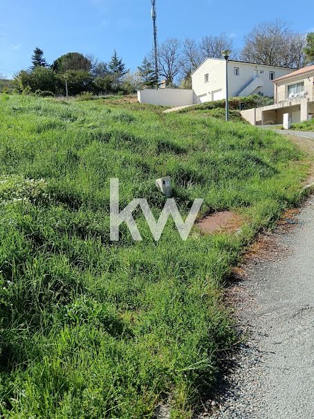 Vente terrain  1350 m² à Graulhet (81300), 40 000 €