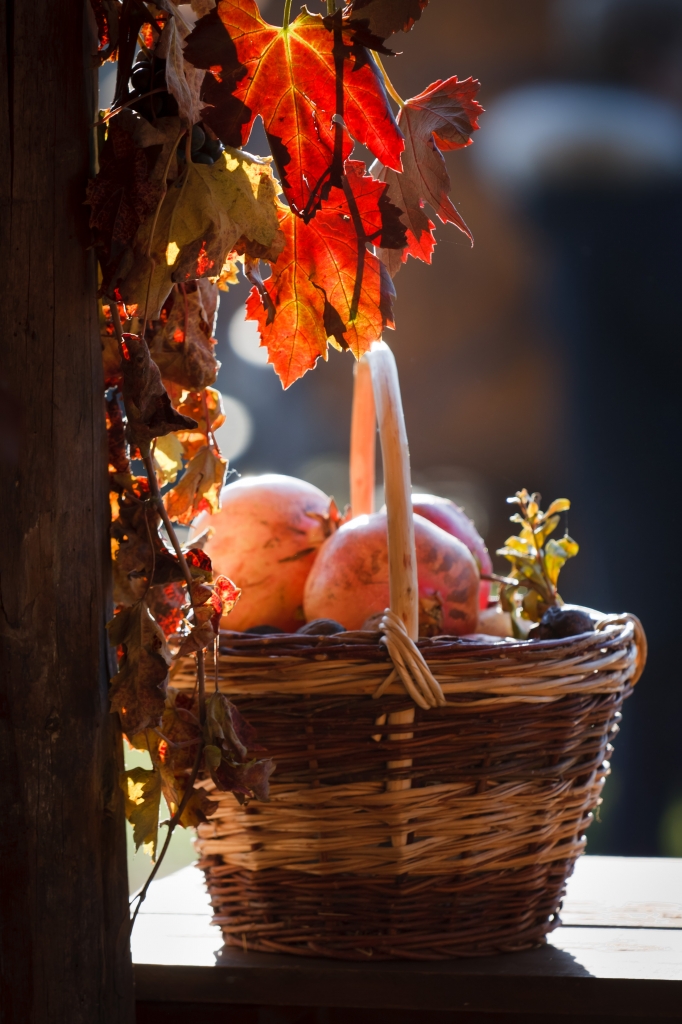 Frutti di stagione di MicheleFaggian