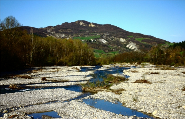 In mezzo scorre il fiume di matthew79