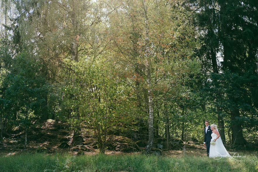 Svatební fotograf David Zandén (zanden). Fotografie z 30.března 2019