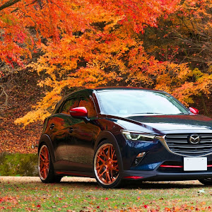 CX-3 DKEFW