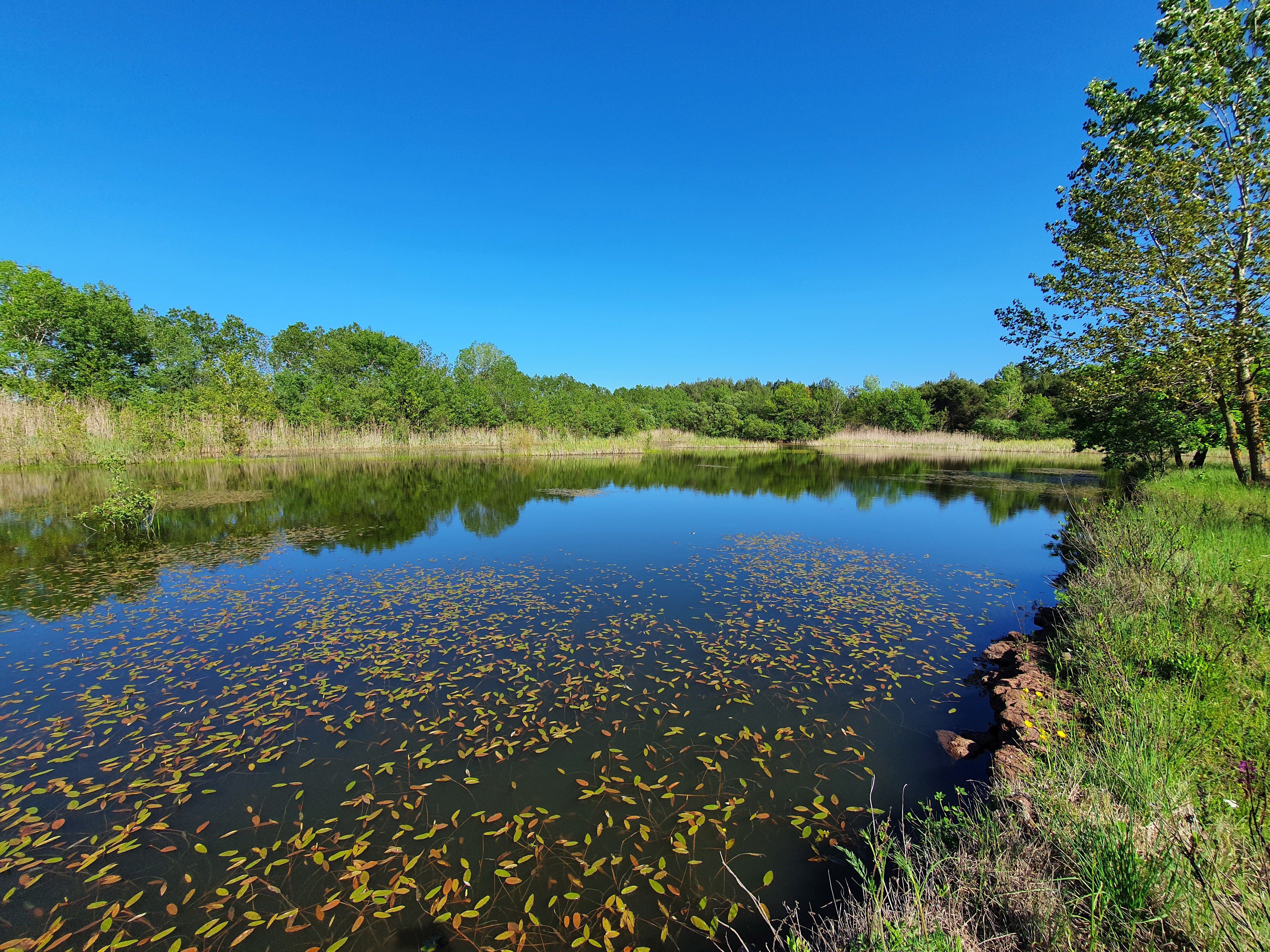 Riflesso Naturale