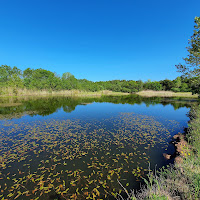 Riflesso Naturale