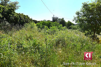 terrain à Besse-sur-Issole (83)