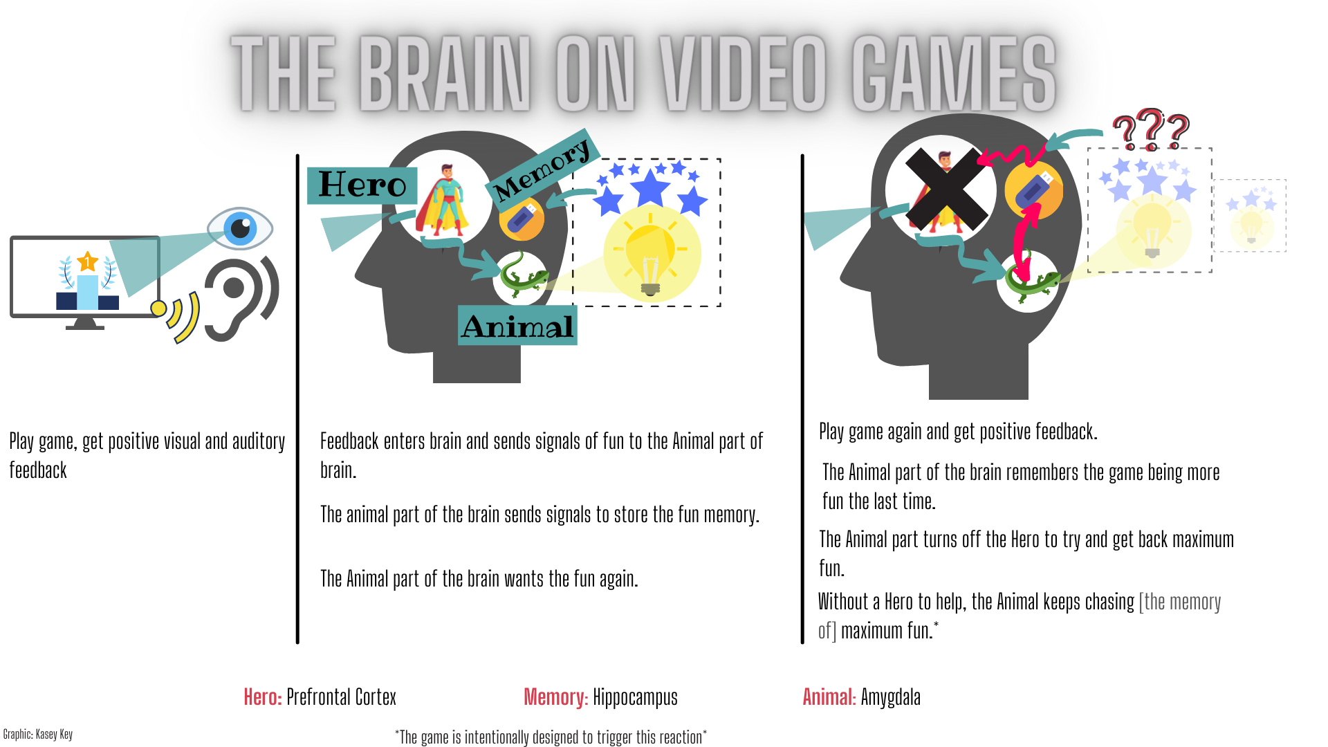 The Brain on Video Games