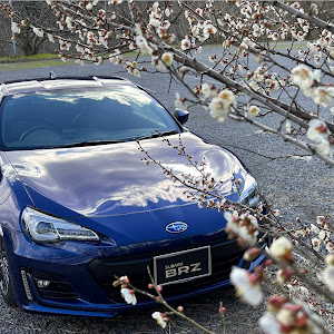 BRZ ZC6