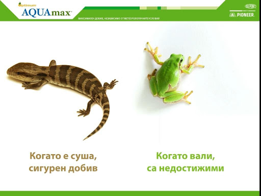 Optimum® AQUAmax® каталог