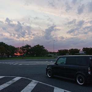 bB