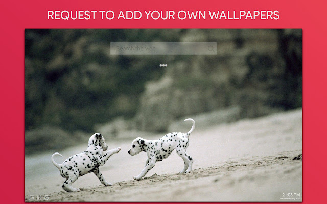 Dalmatian Wallpaper HD Custom New Tab