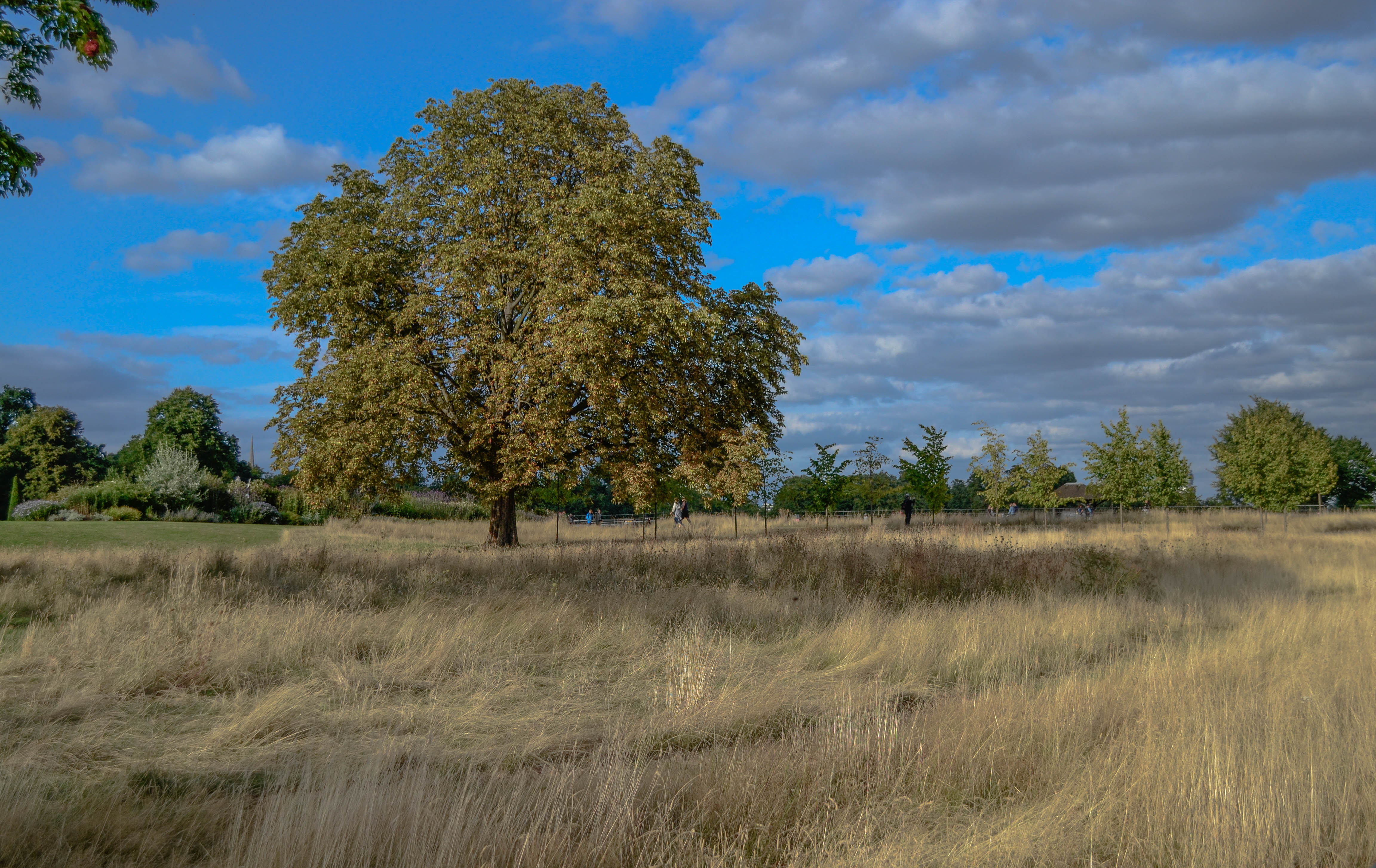 Giardini di kensington palace di vivancove84