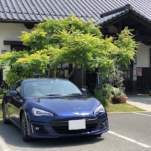 BRZ ZC6