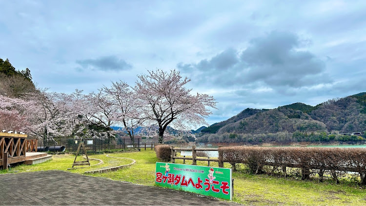 BRZの桜コラボ🌸・宮ヶ瀬・サクラと愛車に関するカスタム事例の投稿画像25枚目