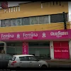 Femina, Perumbakkam, Chennai logo