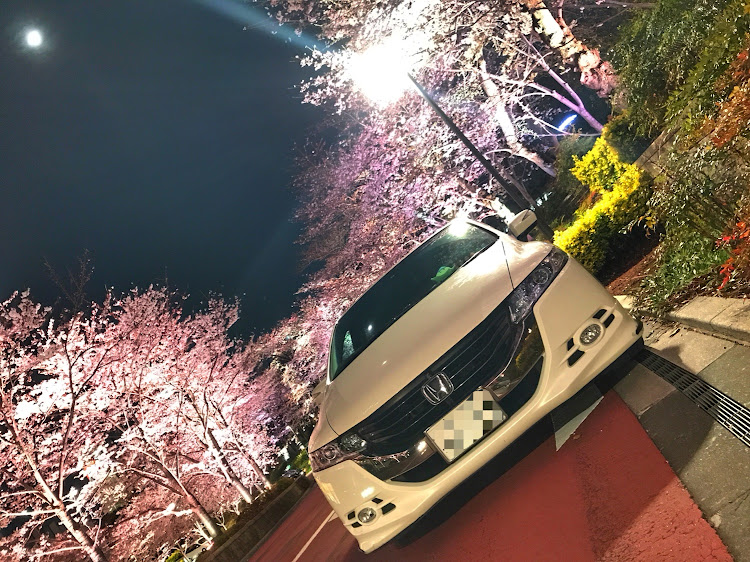 オデッセイのpochikenさんが投稿したカスタム事例の投稿画像1枚目