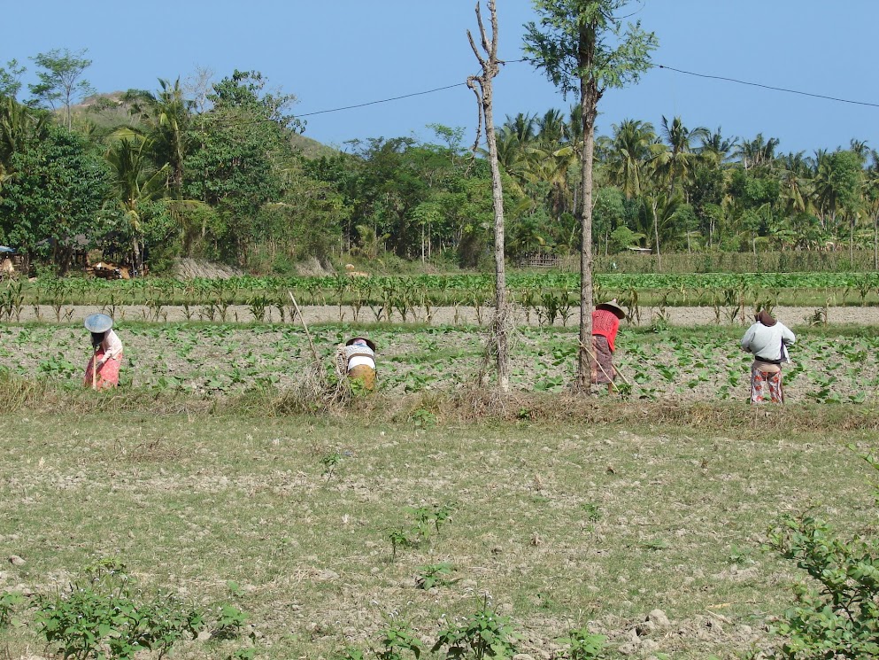 kuta lombok