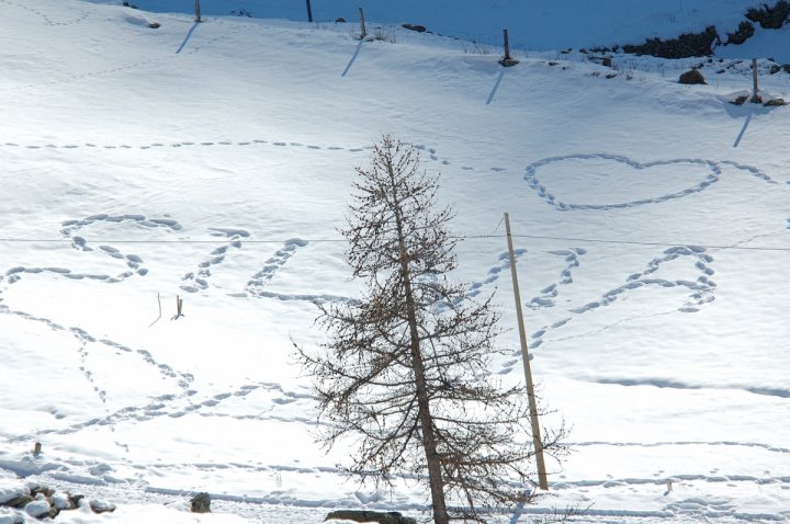 Amore freddo.... di Federico Faletto