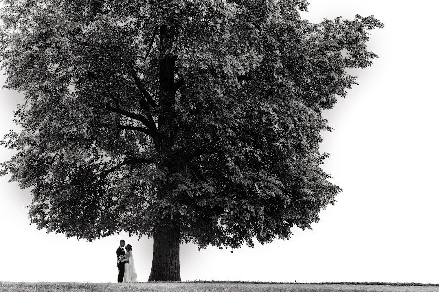 Fotógrafo de bodas Aleksey Demidov (doffa). Foto del 24 de agosto 2020