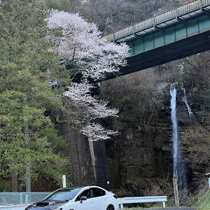 WRX S4 VAG