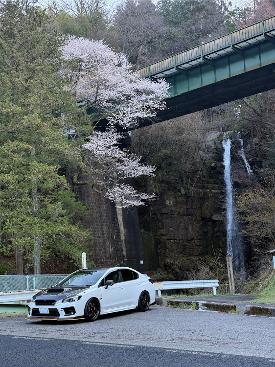 WRX S4の早朝の桜狩りに関するカスタム事例の投稿画像1枚目