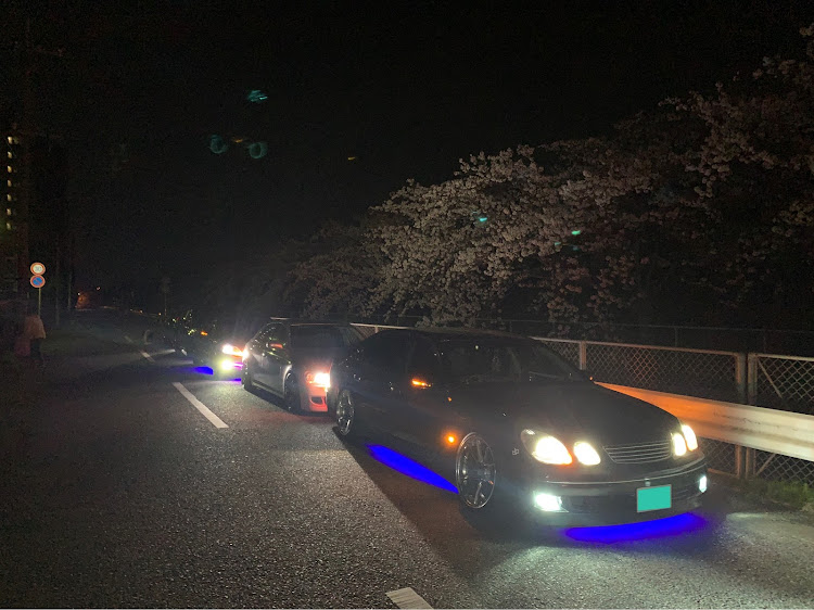 アリストの#アリスト・キャンバー・桜と愛車・夜桜に関するカスタム事例の投稿画像1枚目