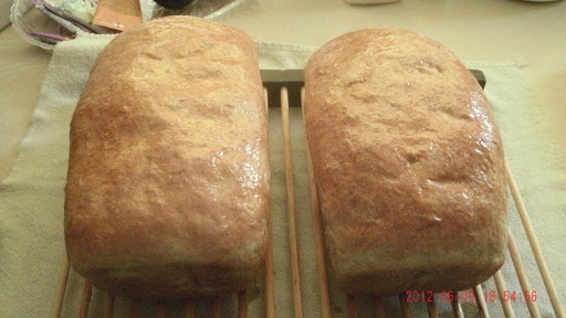 Two loaves of honey butter coated fluffy white bread two minutes out of the oven. Nummy!