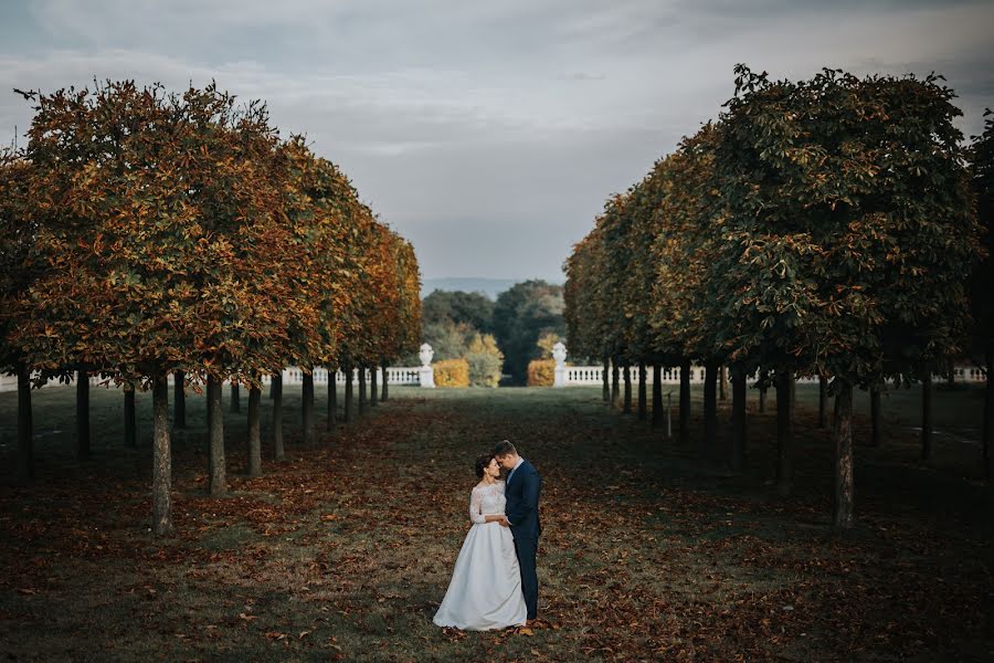 Wedding photographer Michal Zahornacky (zahornacky). Photo of 26 October 2016