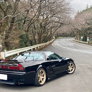 NSX NA1