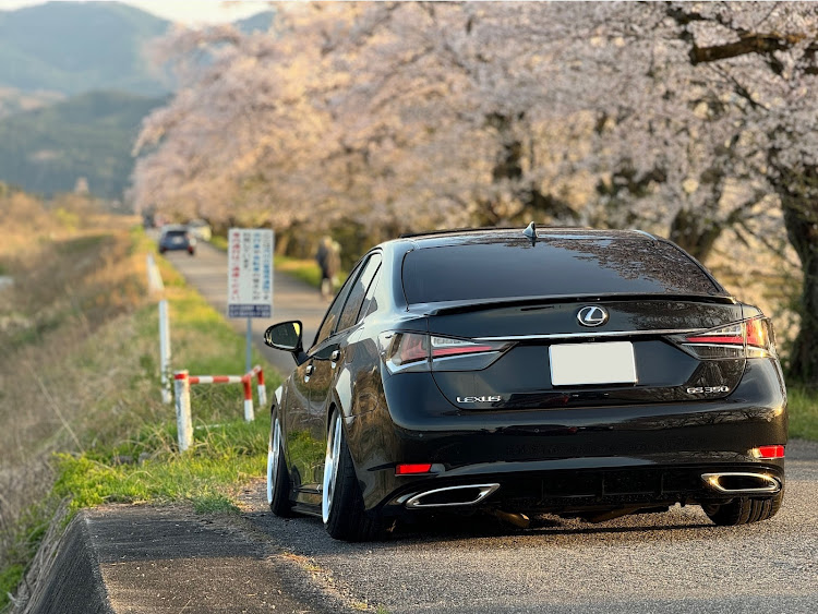 GSのレクサス・GS350・毎月10日はL10系GSの日・サクラと愛車・桜とコラボに関するカスタム事例の投稿画像1枚目