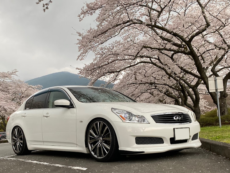 スカイラインのINFINITI G25・富士霊園の🌸🌸🌸・サクラと愛車・桜のトンネル動画に関するカスタム事例の投稿画像7枚目