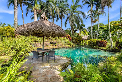 House with pool 1