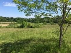 Vente terrain  4800 m² à Saint-Eutrope-de-Born (47210), 58 200 €