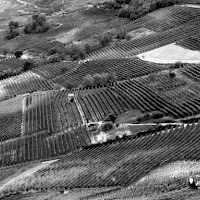 Uno sguardo sulle Langhe di 