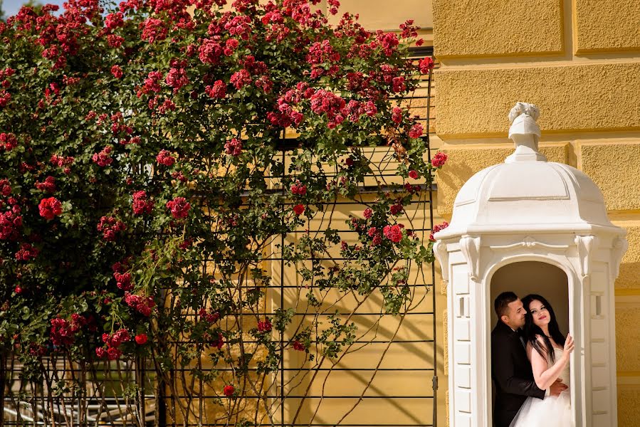 Photographe de mariage Andrei Branea (branea). Photo du 13 juillet 2015