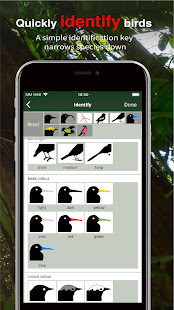 All Birds Trinidad & Tobago - Sunbird Field Guide(圖8)-速報App