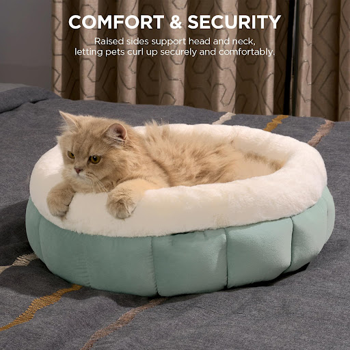 Title 8, Donut Dog Beds For Small Dogs Round Cat Beds Wa...